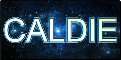 CALDIE模具鋼